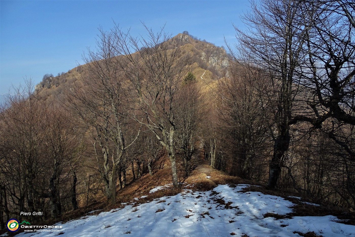 35 Dal Roccolo del Forcolino vista sul sentiero per il Suchello.JPG